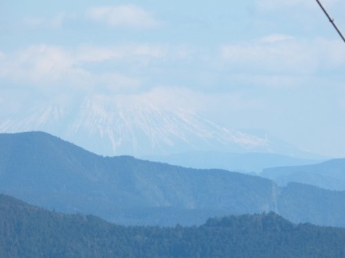 画像17